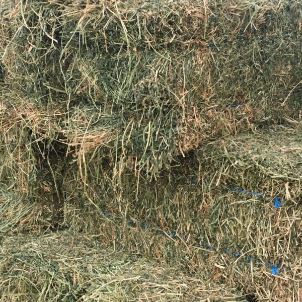 Hay/Straw/Bedding NW Farm Supply