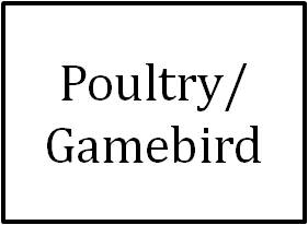 Poultry/Gamebird