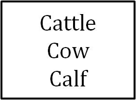 Cattle/Cow/Calf