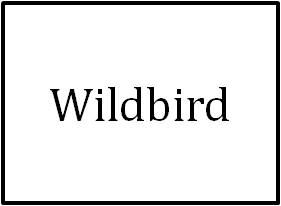 Wild Bird